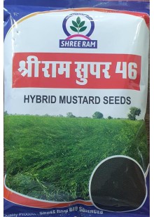 Shri Ram Super 46